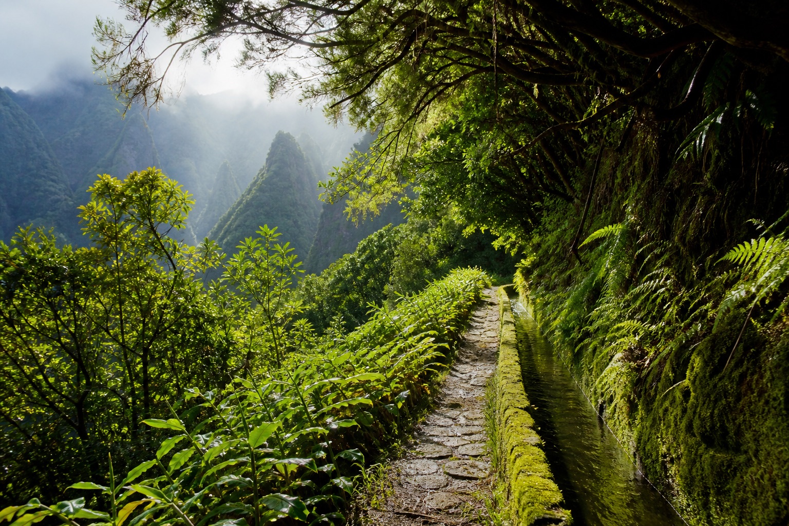 Madeira levada trail